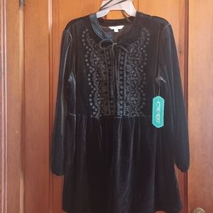 The Pioneer Women Embroidered Empire Waist Tunic Top